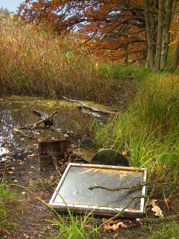 Monitoring Środowiska