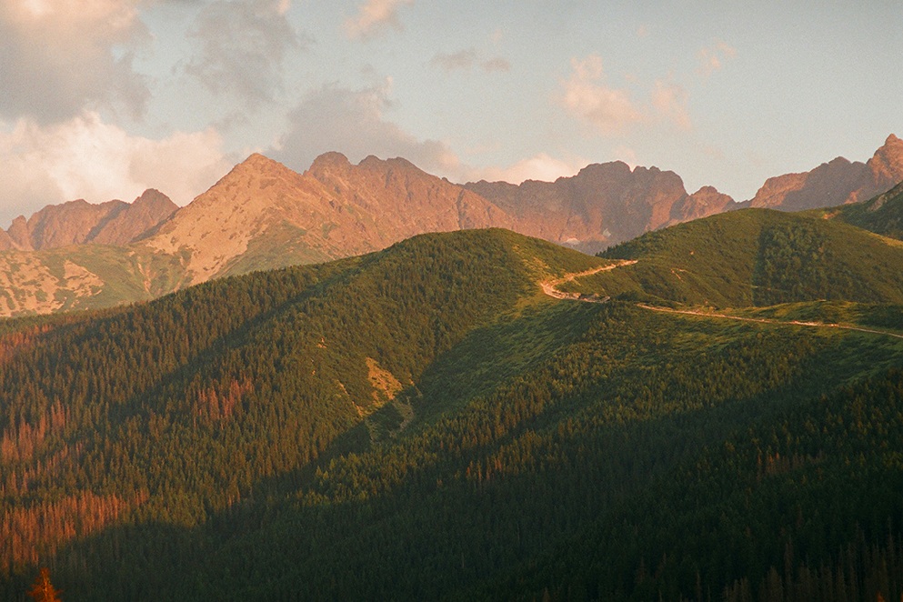 Wieczorny widok na Tatry z Nosala.