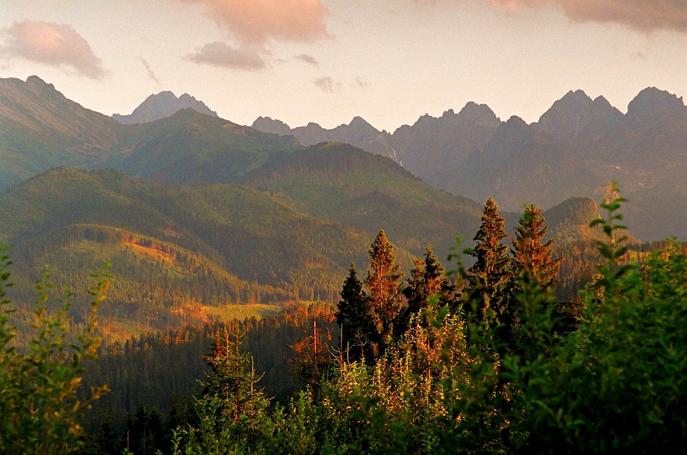 Tatry z Drogi Oswalda Balcera