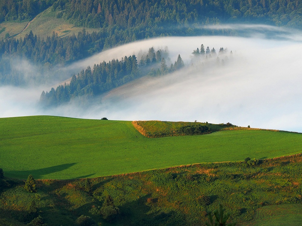 Pieniny rankiem