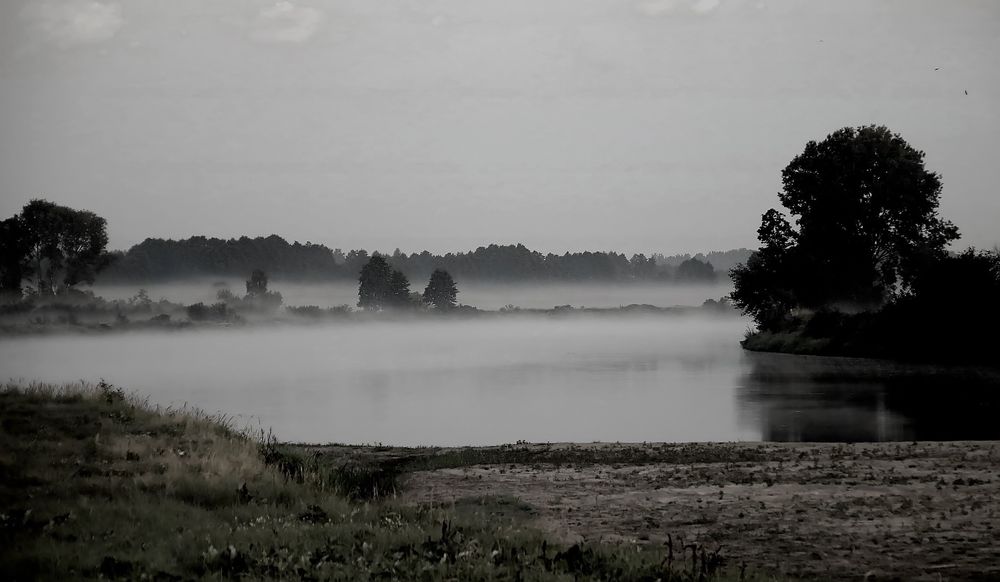 czekając na światło