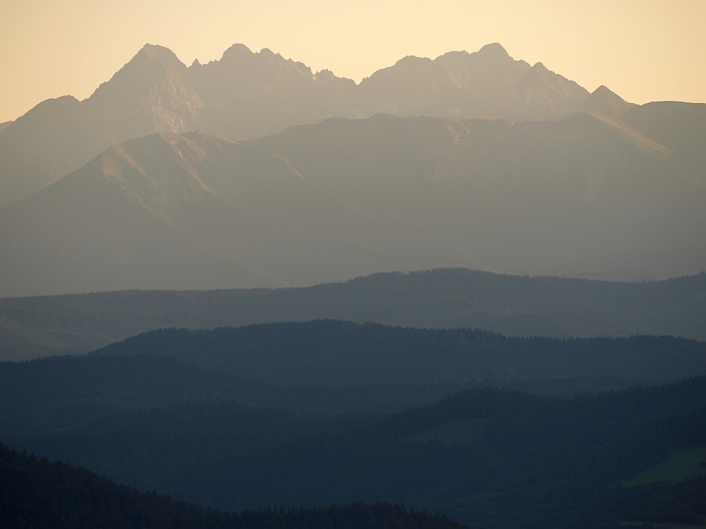 Tatry z Pienin