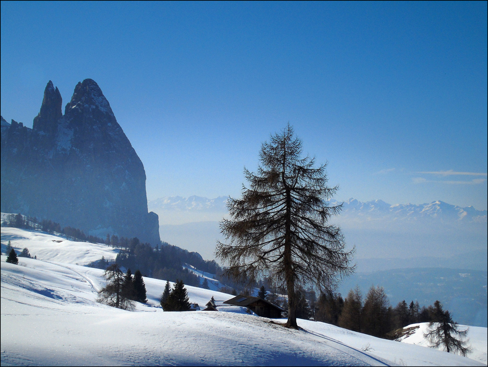 Italia z austriackim horyzontem