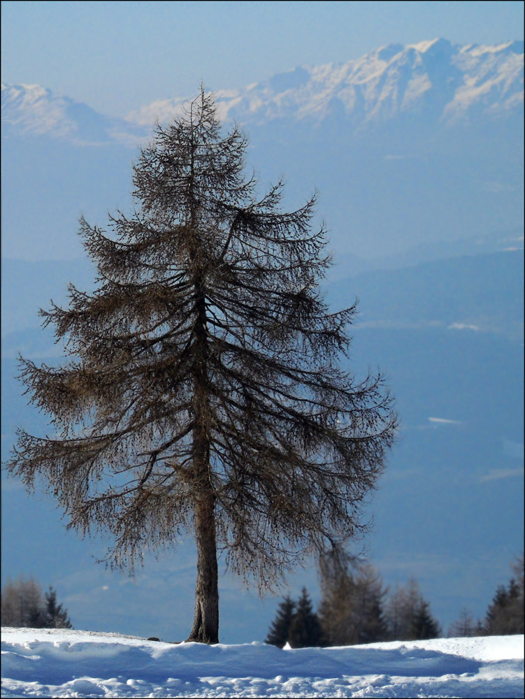 Pomiędzy śniegiem a śniegiem