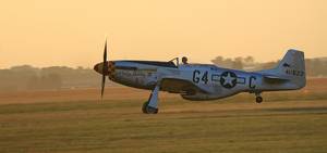 P 51D Mustang