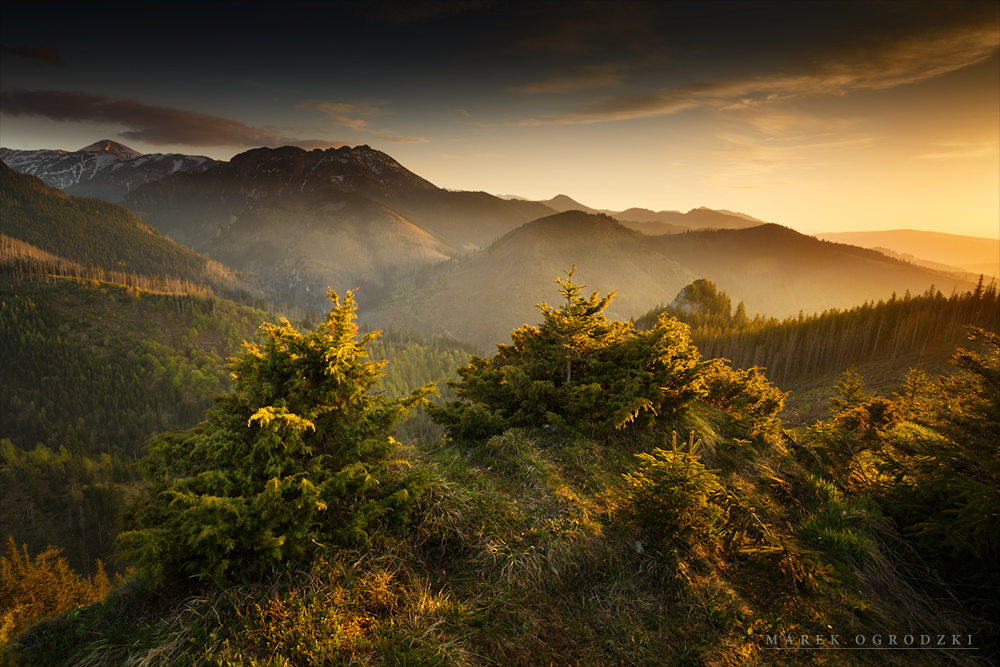 Tatry