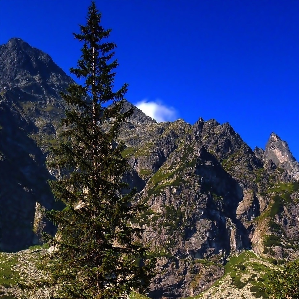 Tatry