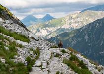 Tatry