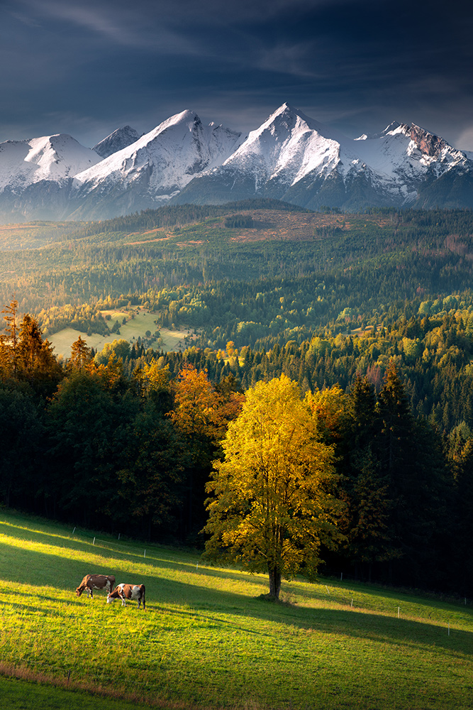 Wrześniowe Tatry