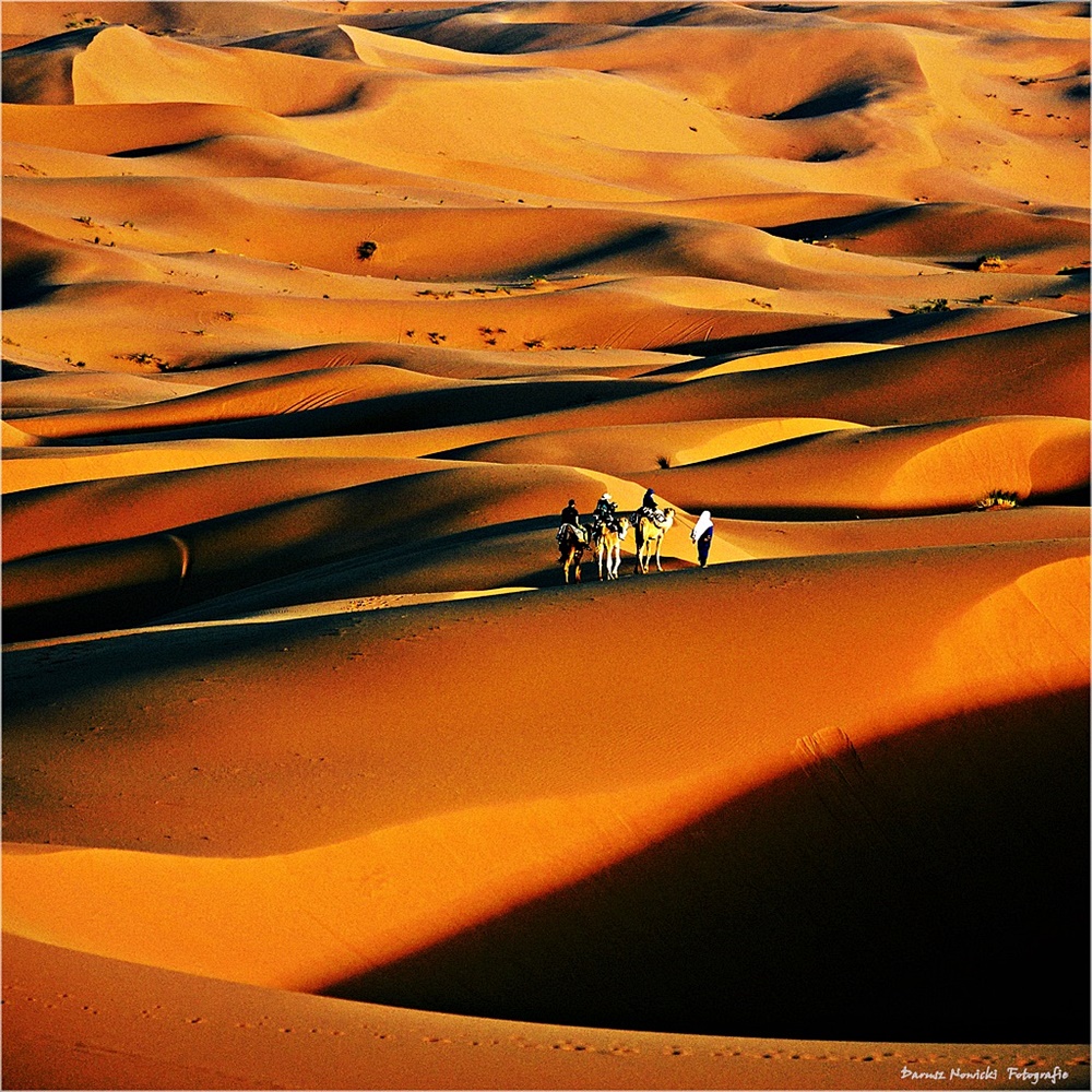 Sahara