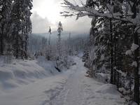 Tatry