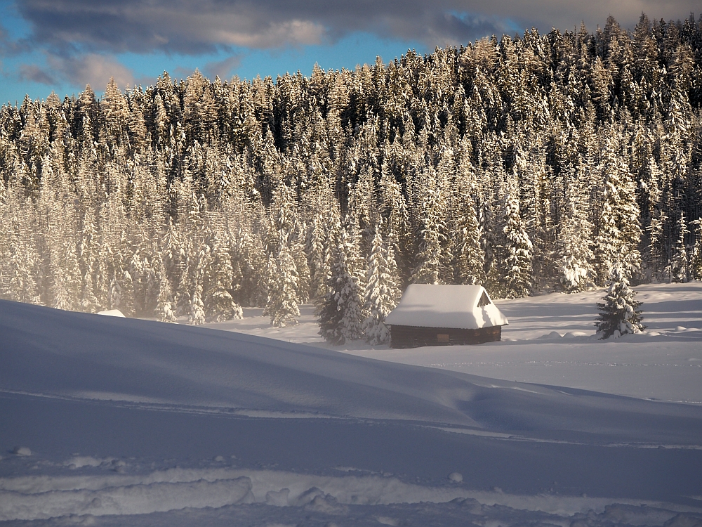 Tatry