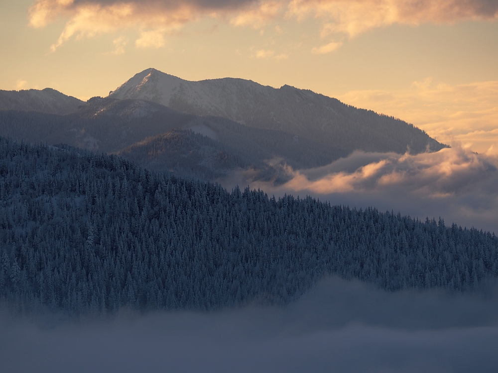 Tatry. W stronę Osobitej.