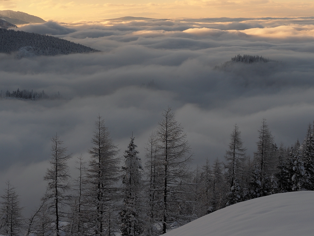 Tatry. Morze mgieł.