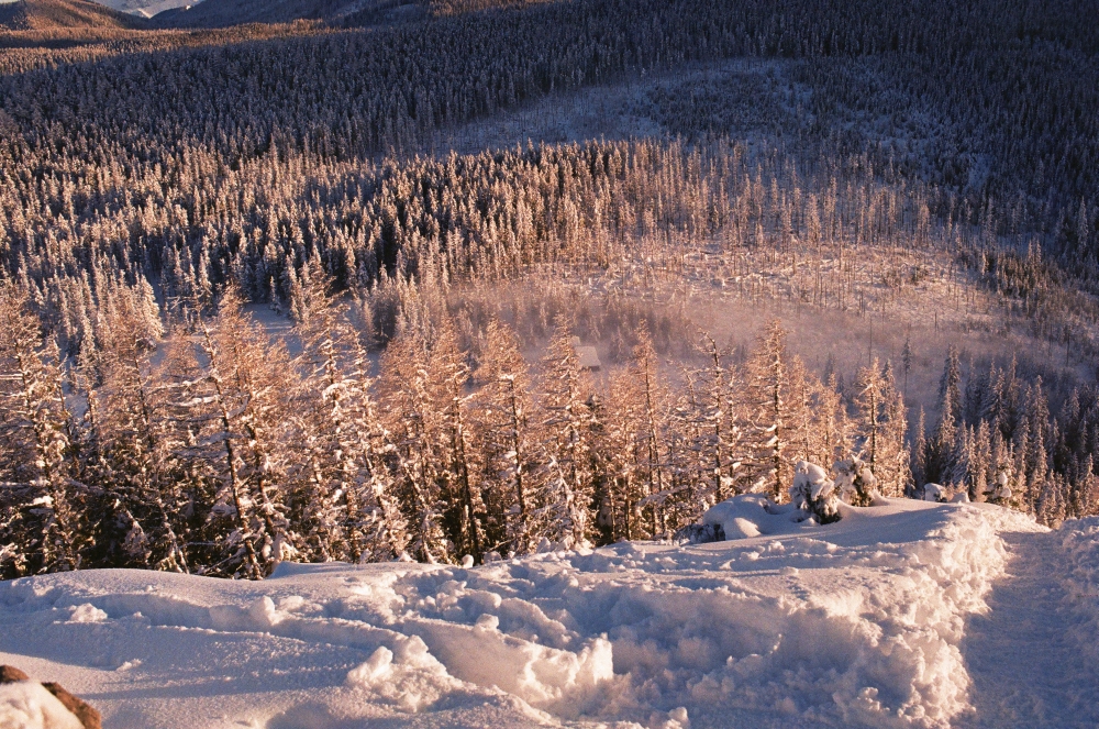 Tatry