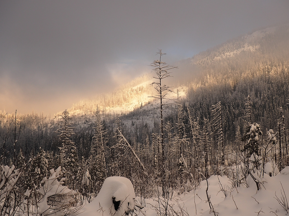 Tatry