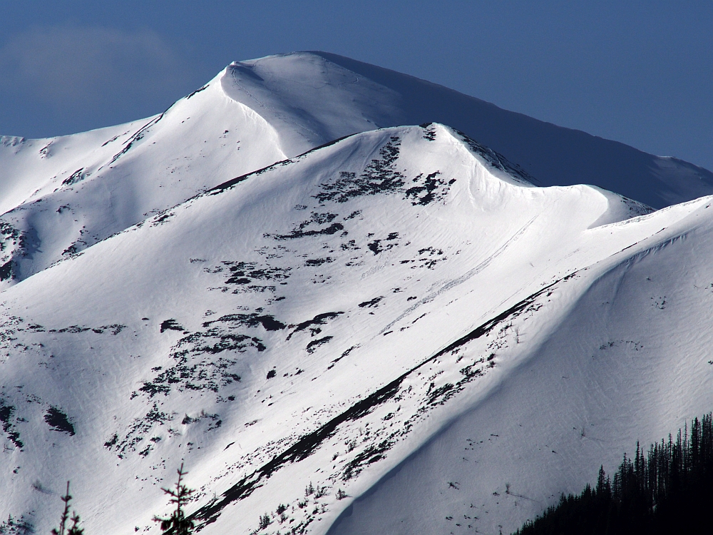 Tatry Zachodnie z Doliny Chochołowskiej