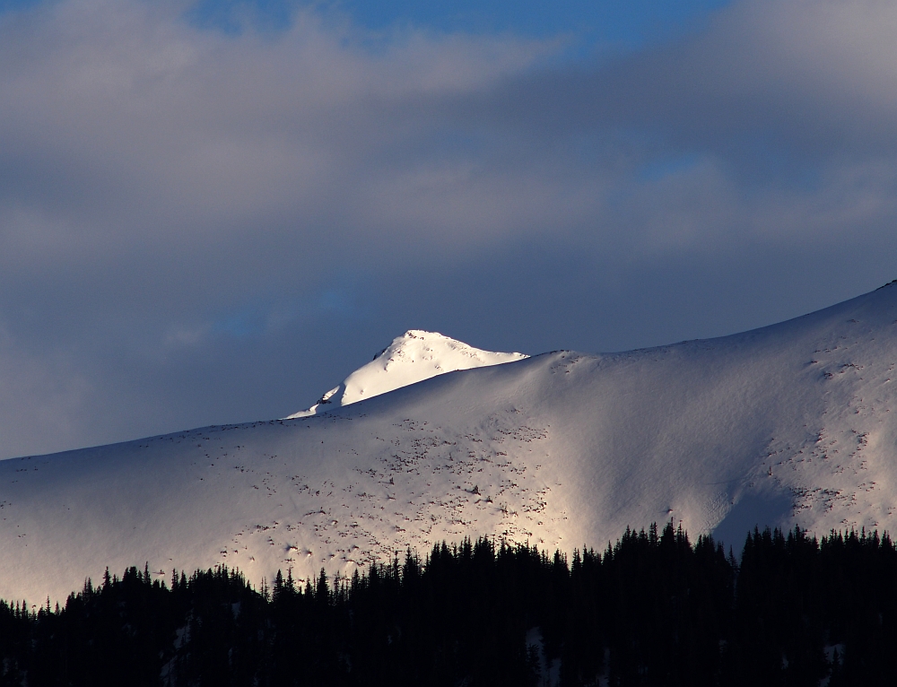 Tatry z Antałówki