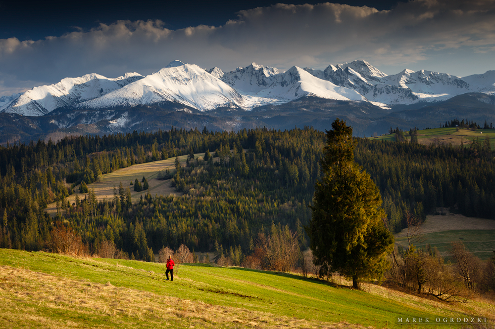 Tatry