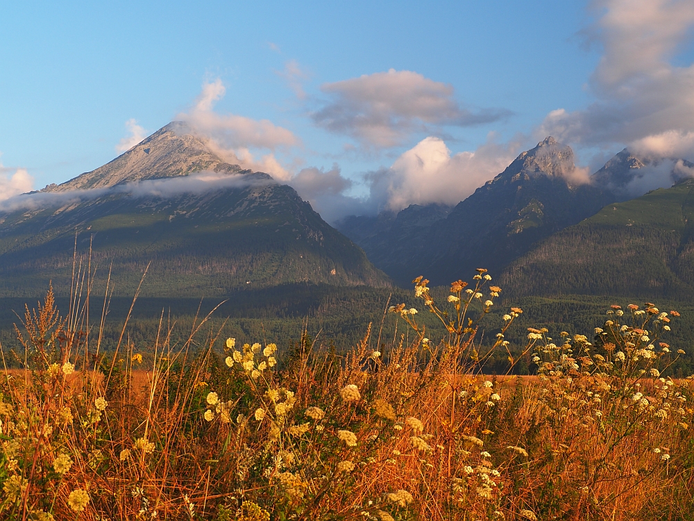 Poranek z widokiem na Tatry