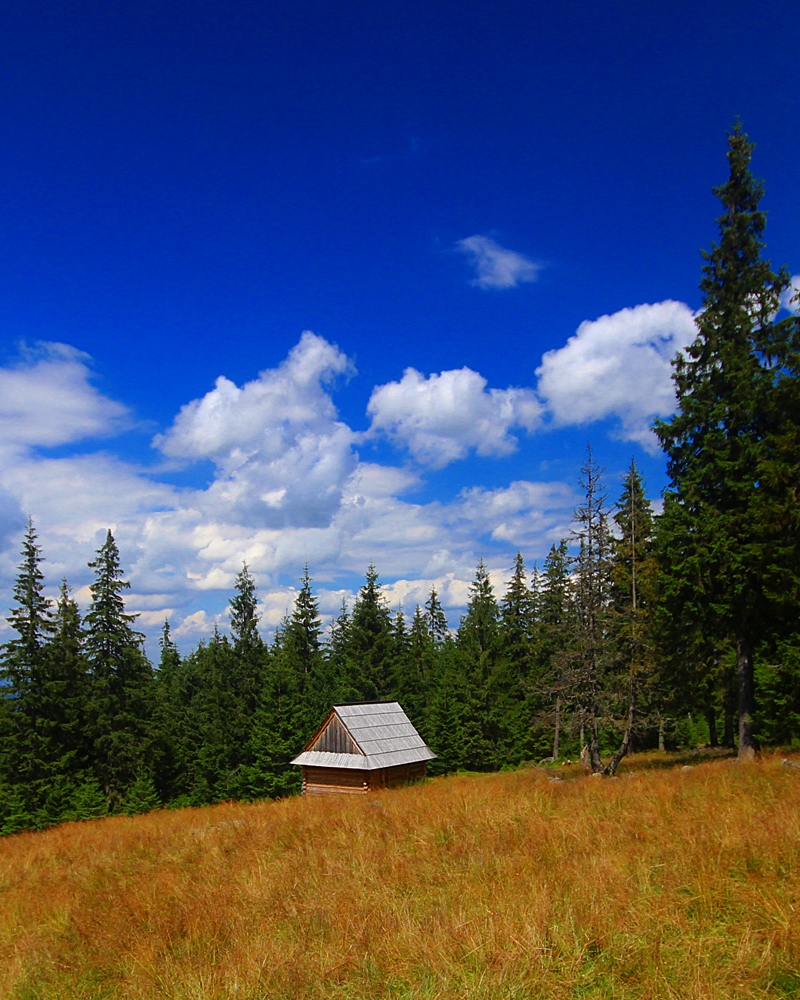 Tatry