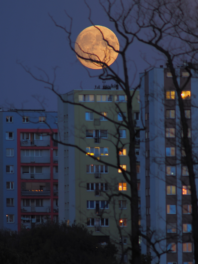 Gliwice Sikornik