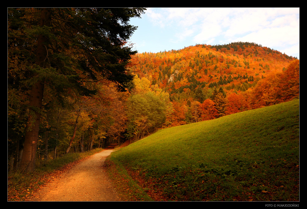 Pieniny #002