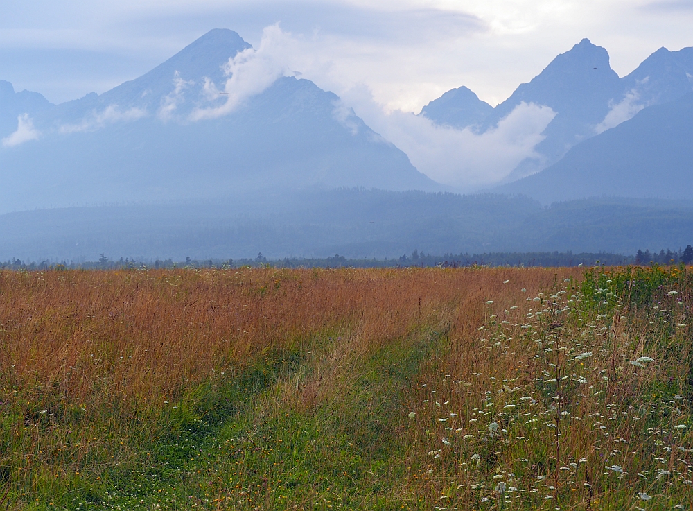 Tatry