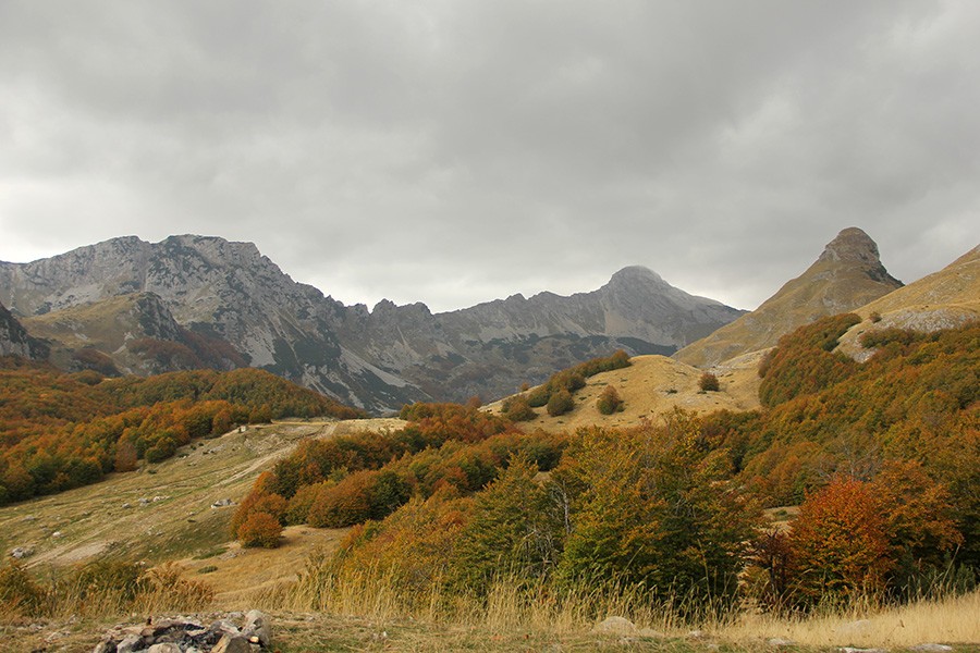 Podróże - Czarnogóra ( Monte Negro) - Park Narodowy Durmitor