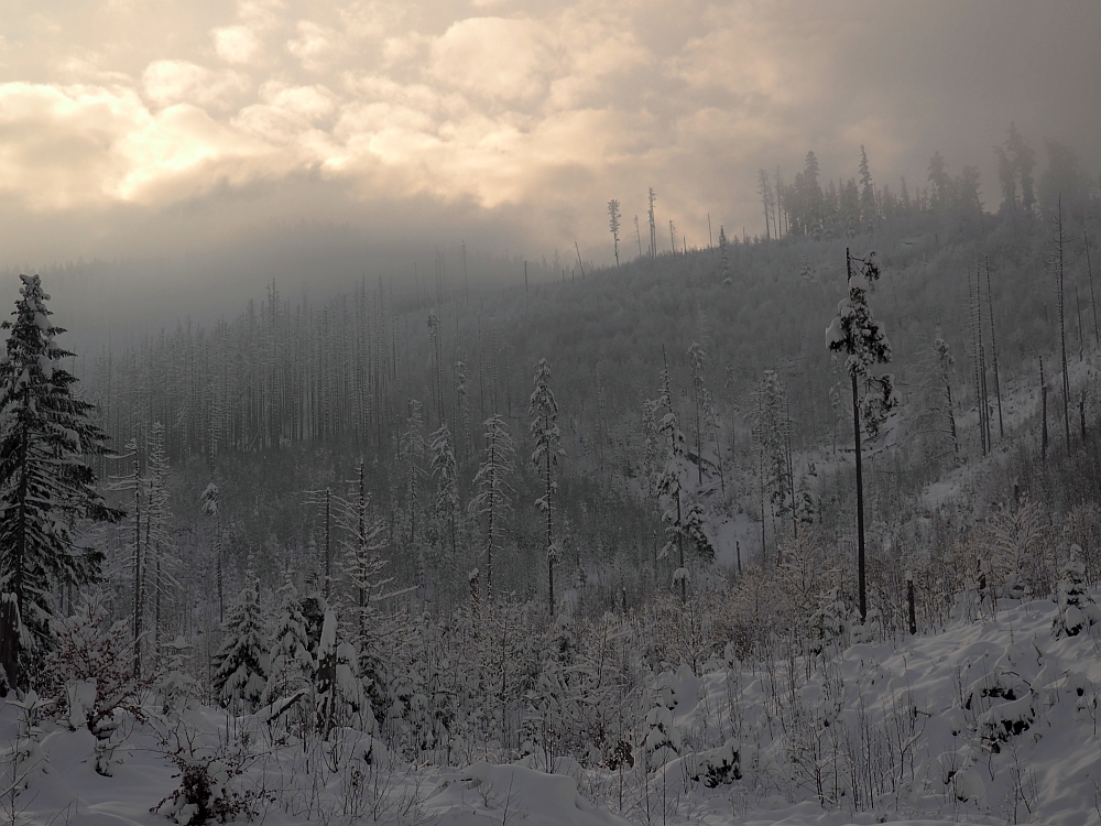 Tatry