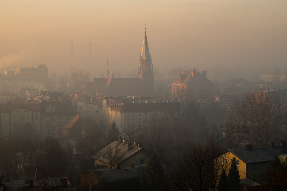 dzień się budzi