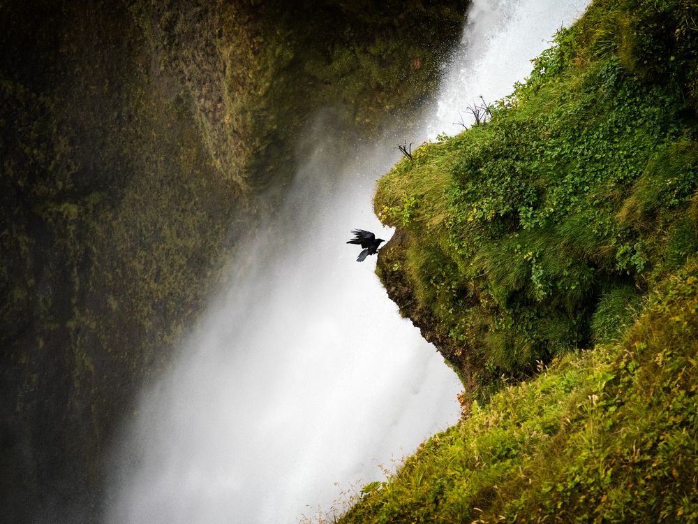 Skogafoss, Islandia