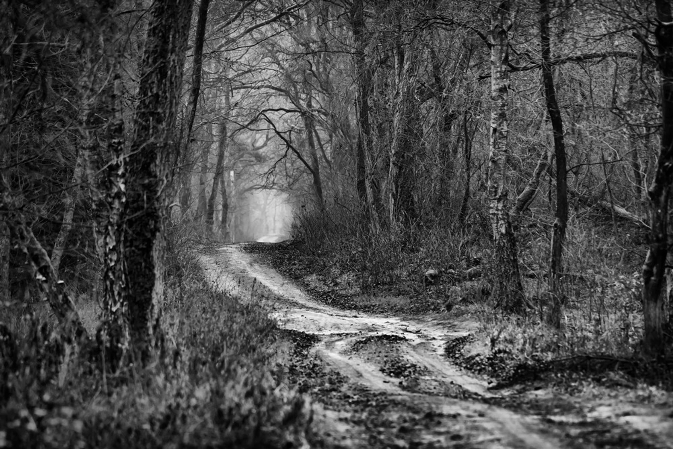 _DSC3165 Ax a