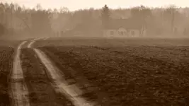 Ma być jesień?