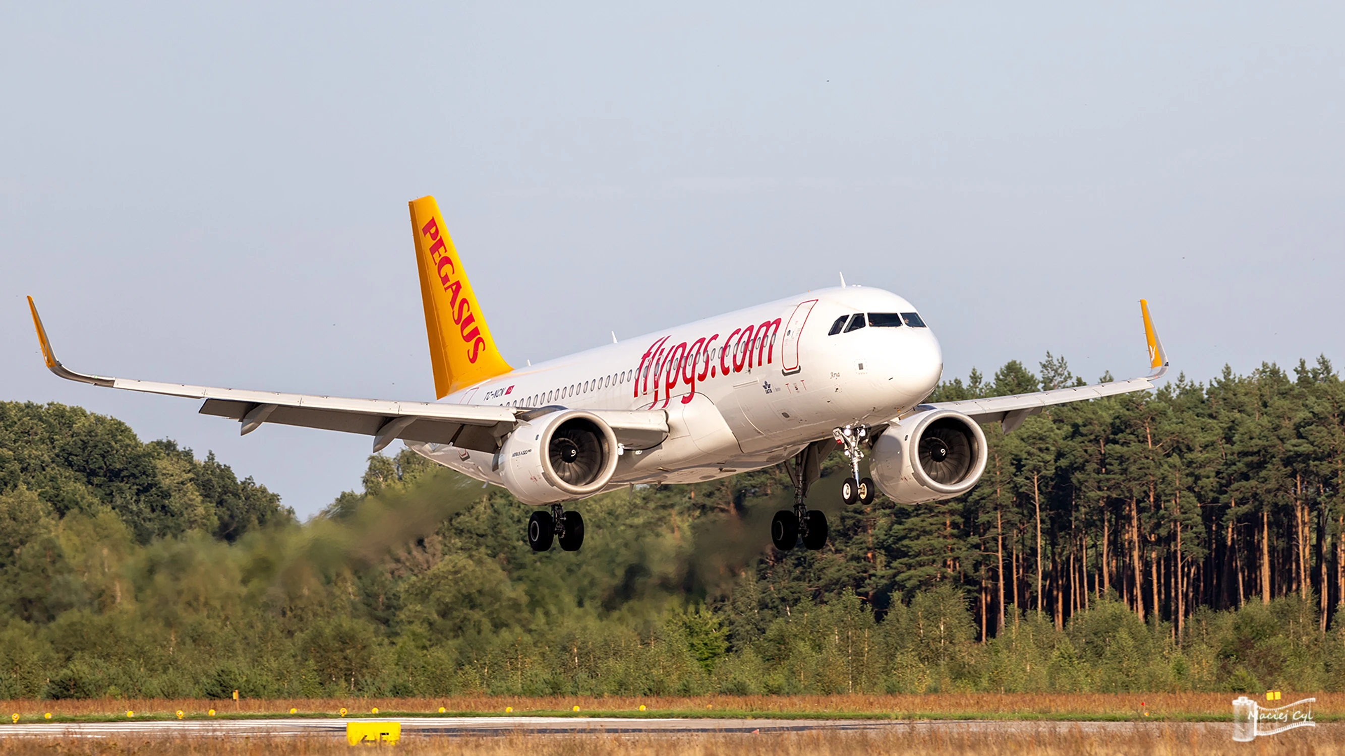 Pegasus Airlines