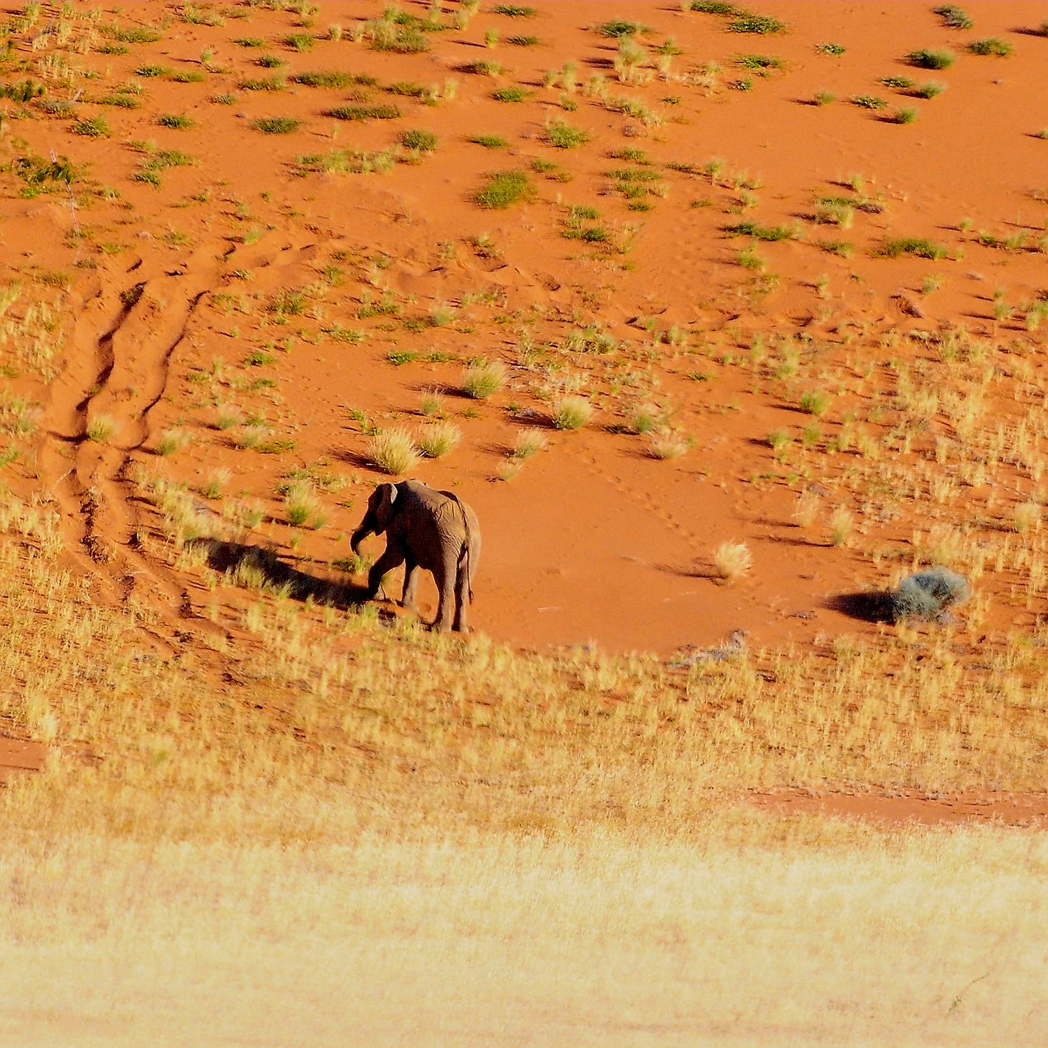 Twyfelfontein