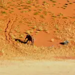 Twyfelfontein