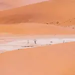 Sossusvlei