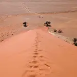 Sossusvlei