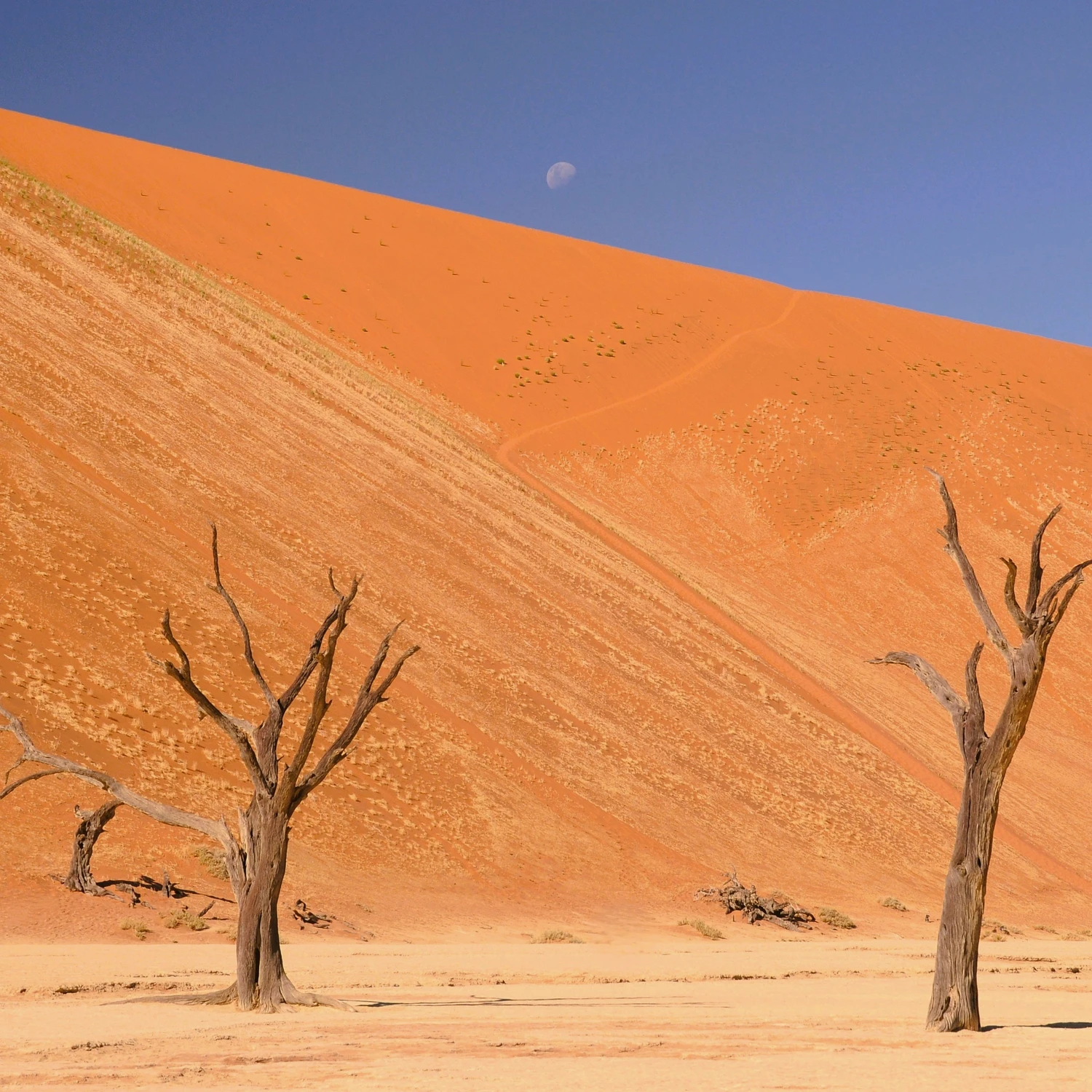Sossusvlei