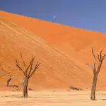 Sossusvlei
