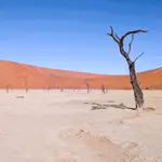 Sossusvlei 