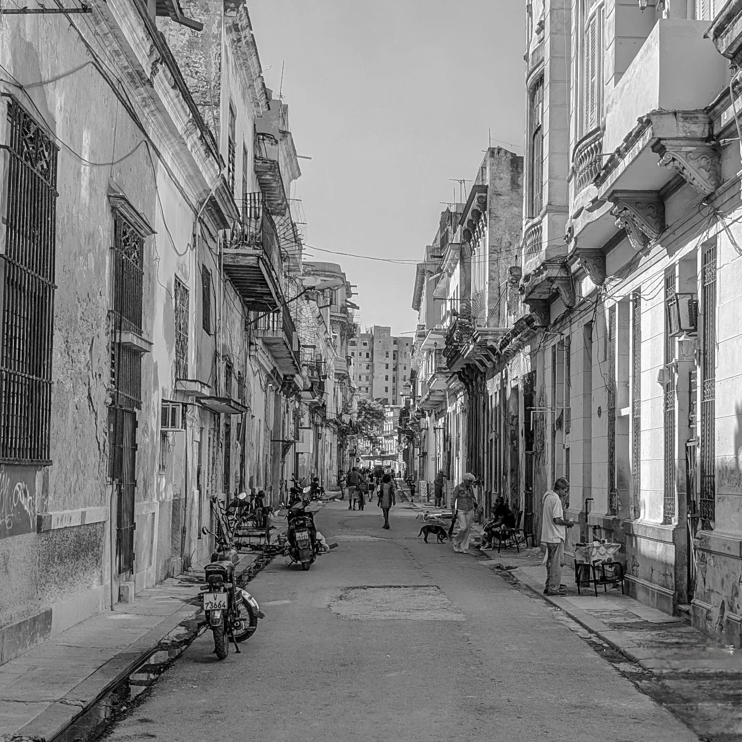 Havana