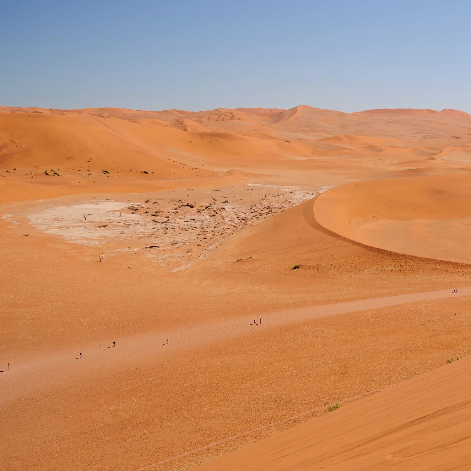 Sossusvlei w kolorze