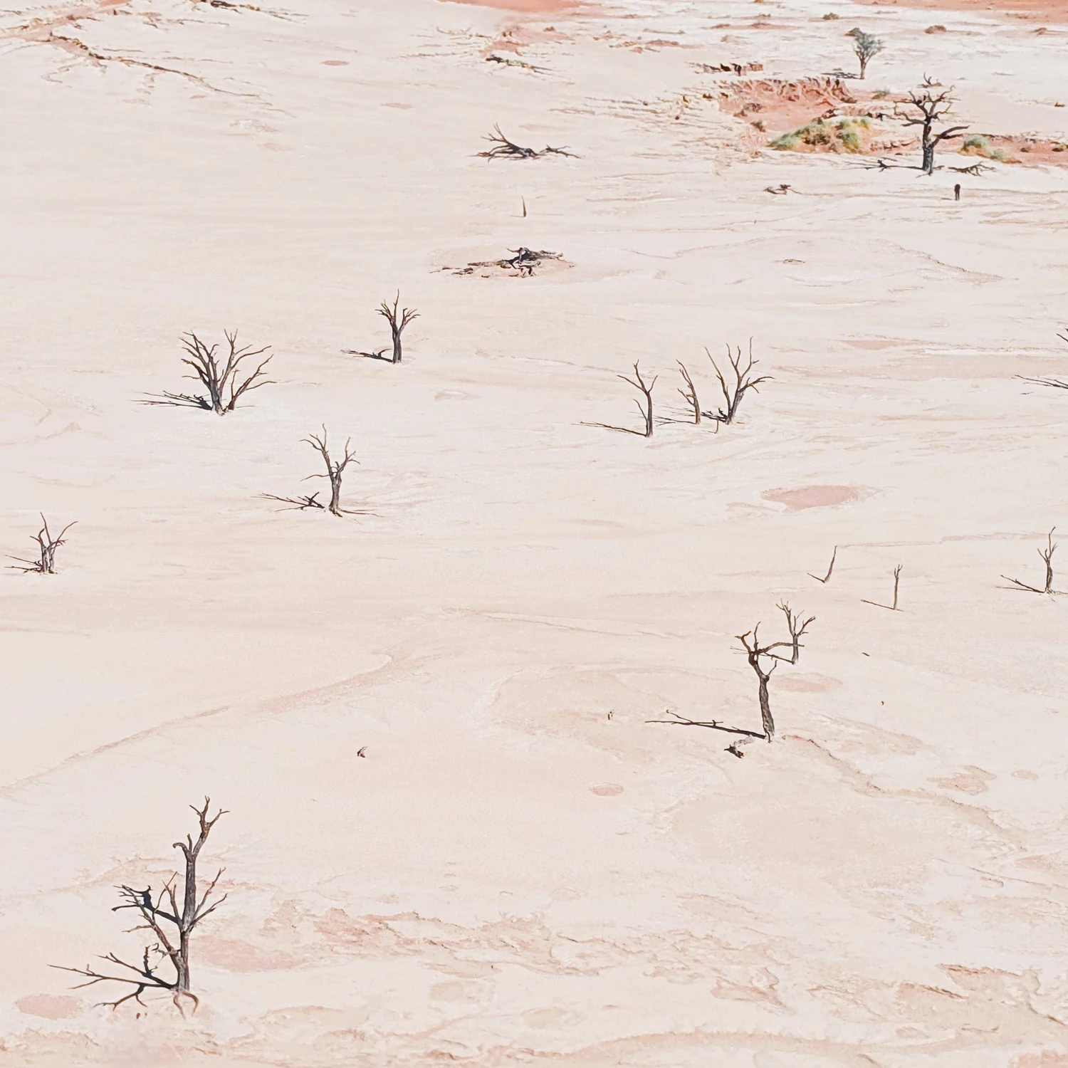 Sossusvlei