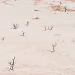 Sossusvlei