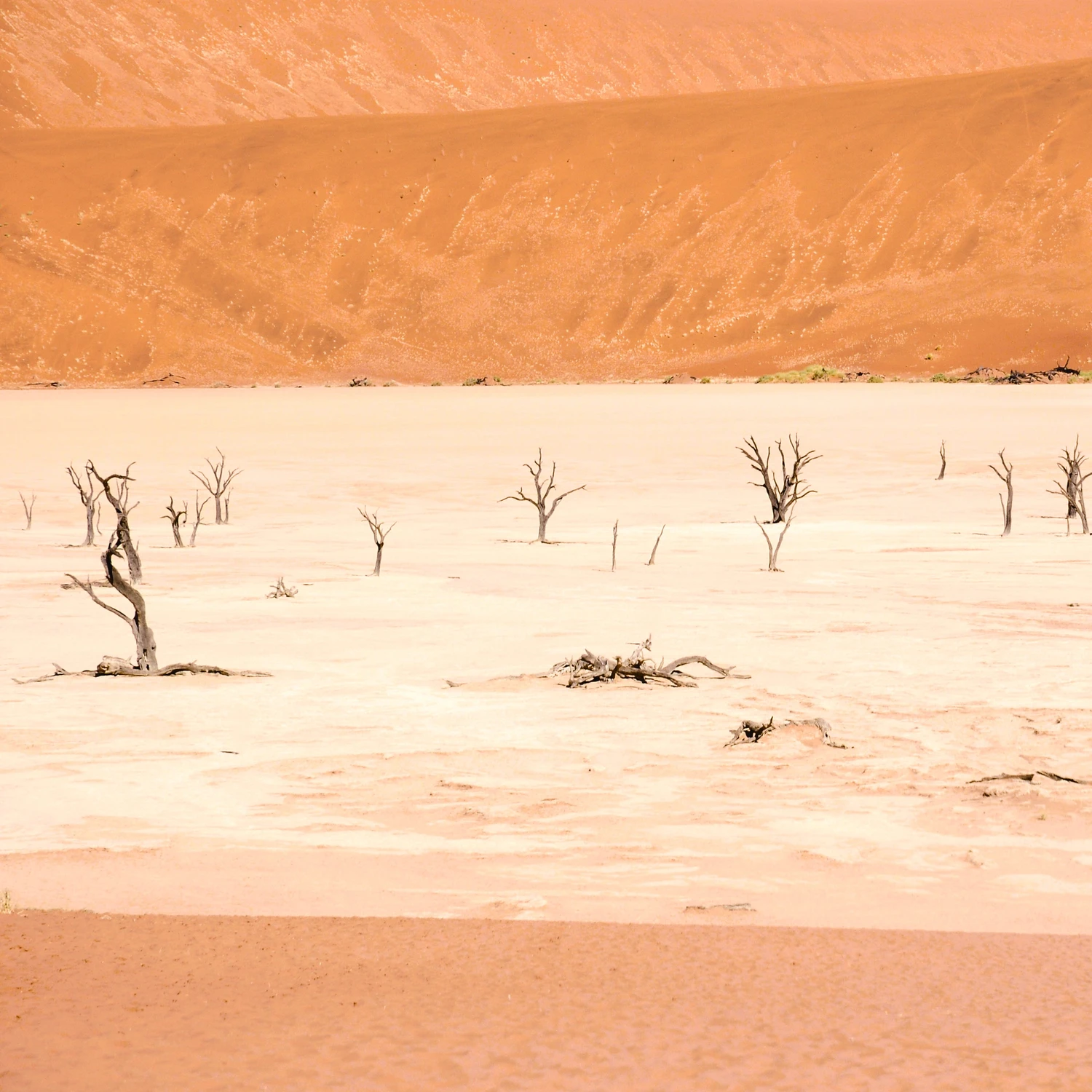 Sossusvlei