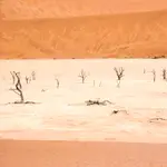 Sossusvlei