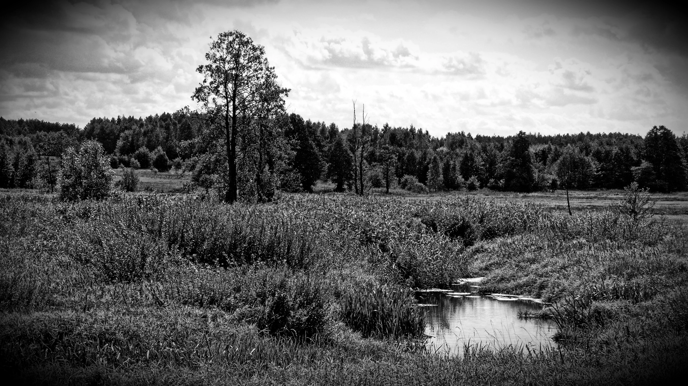 Podlasie - Podlaskie -