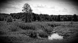 Podlasie - Podlaskie -